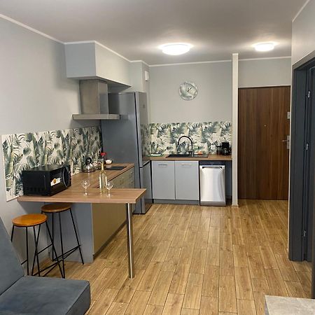 2 Tyskie Apartamenty Z Ogrodkiem Tychy Bagian luar foto